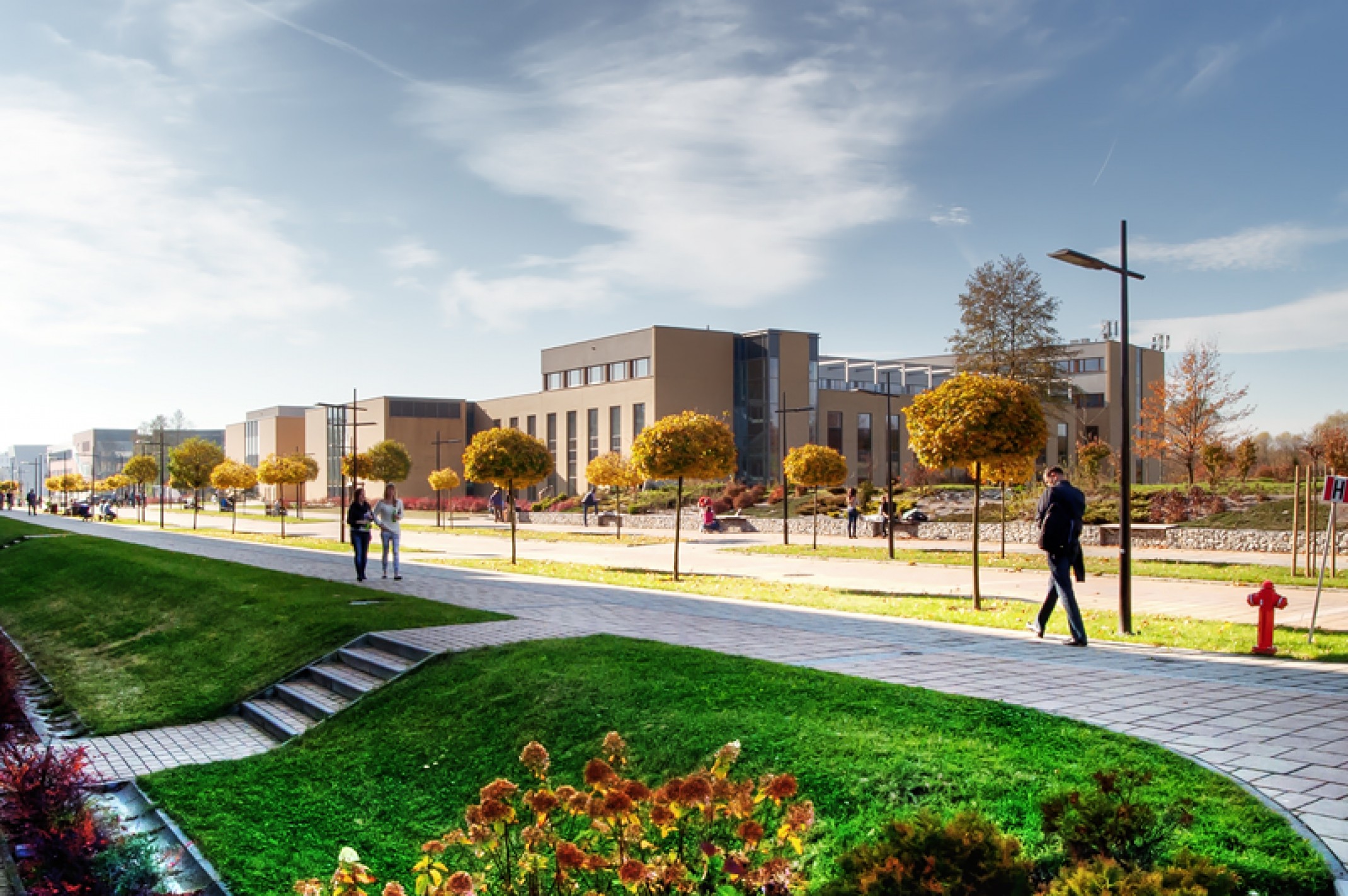 Realizations Realizations